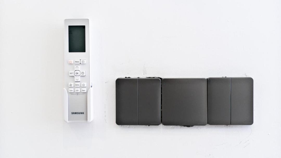 Photo of Others in Taro