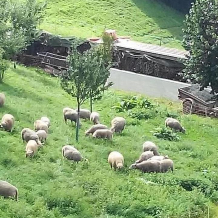 Photo of Others in Chardonne