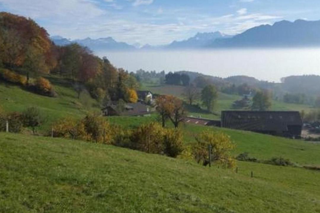 Photo of Others in Chardonne