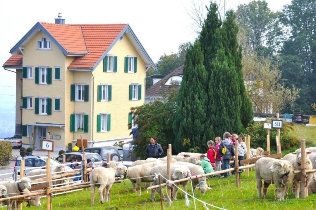 Photo of Others in Wolfhalden
