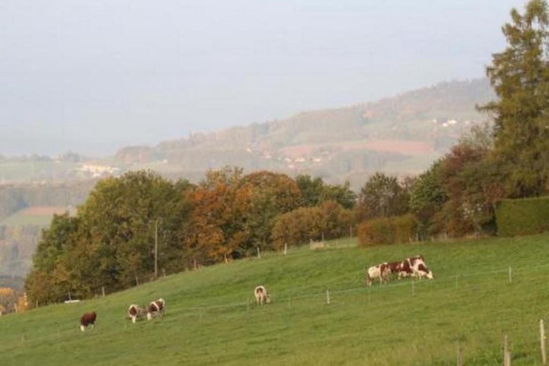 Photo of Others in Chardonne