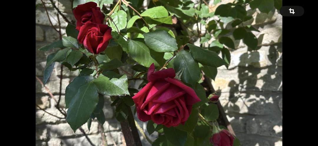 Photo of Others in Hames-Boucres