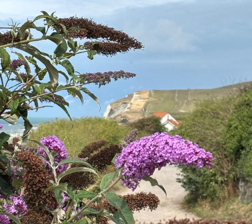 Photo of Others in Hames-Boucres