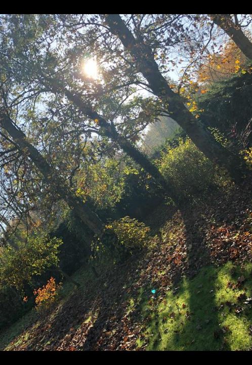 Photo of Others in Hames-Boucres