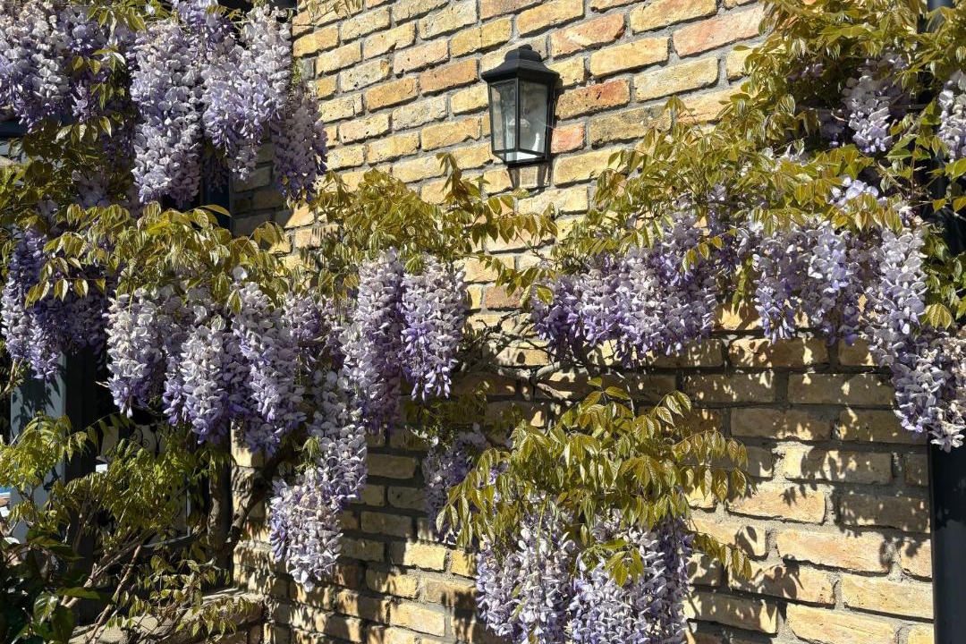 Photo of Others in Hames-Boucres