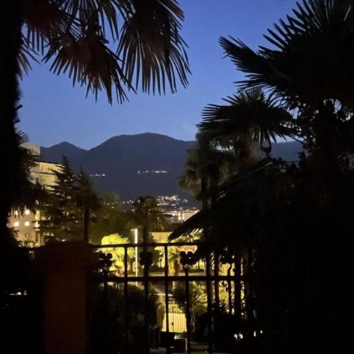 Photo of Others in Locarno