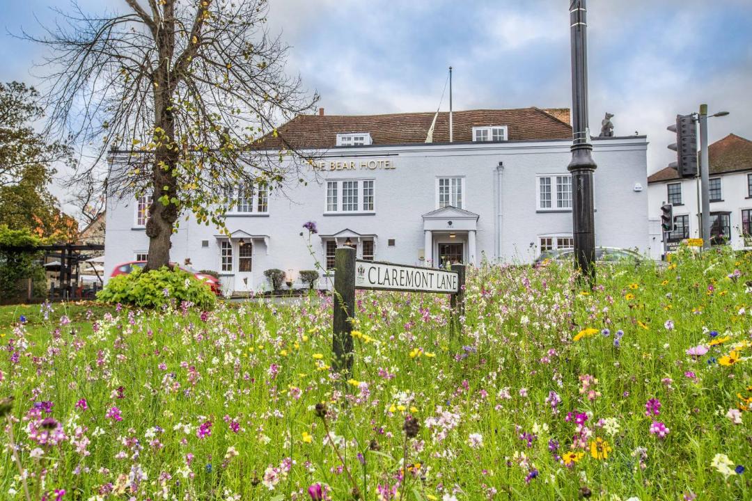 Photo of Others in Esher