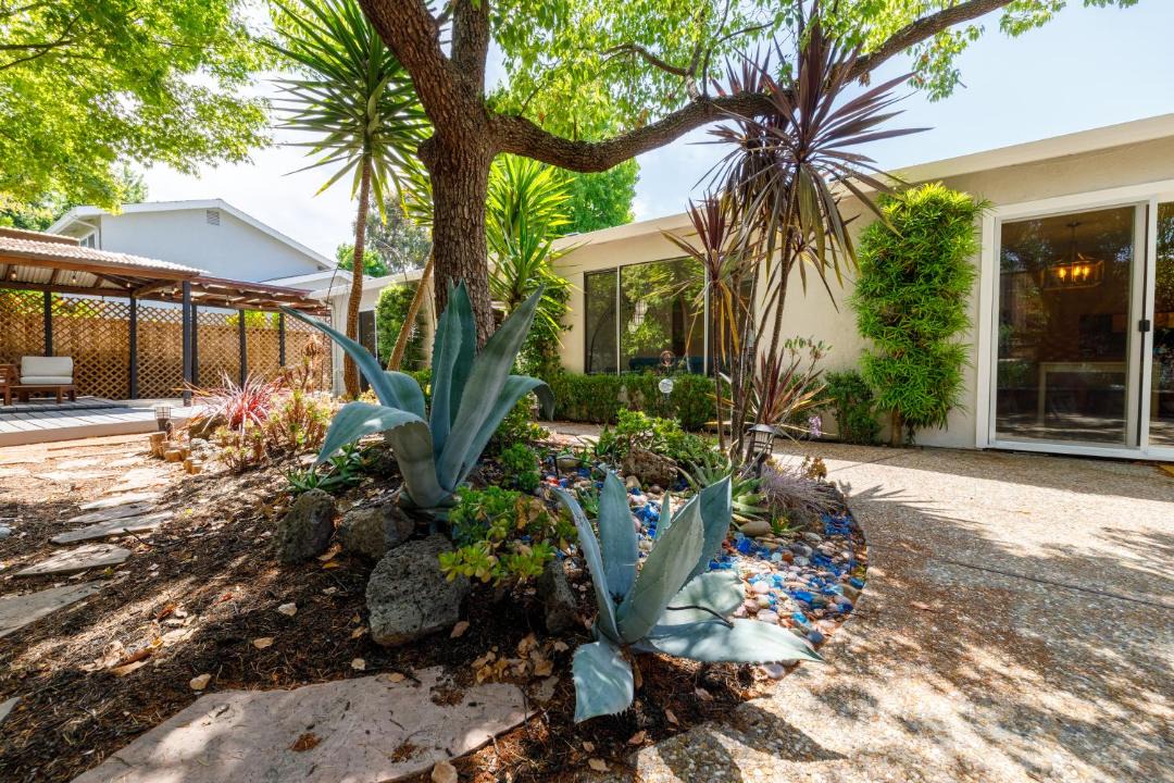 Photo of Others in San Ramon