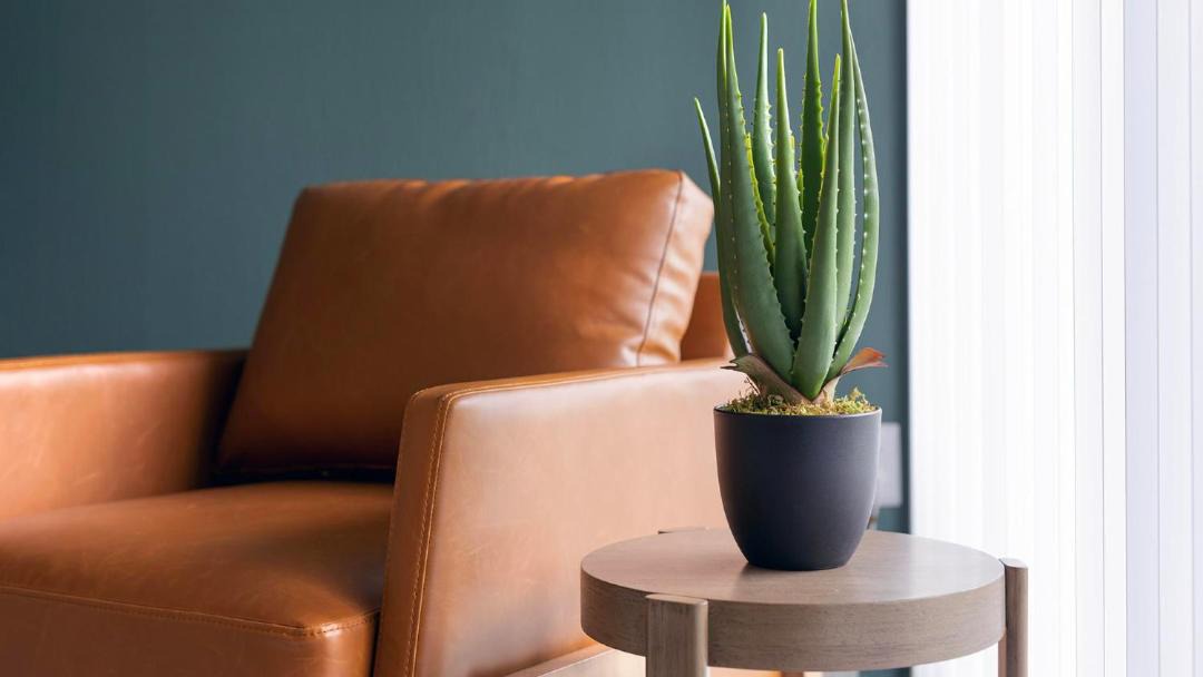 Photo of Livingroom in Albany