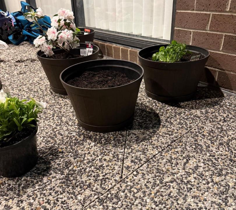 Photo of Others in Mickleham