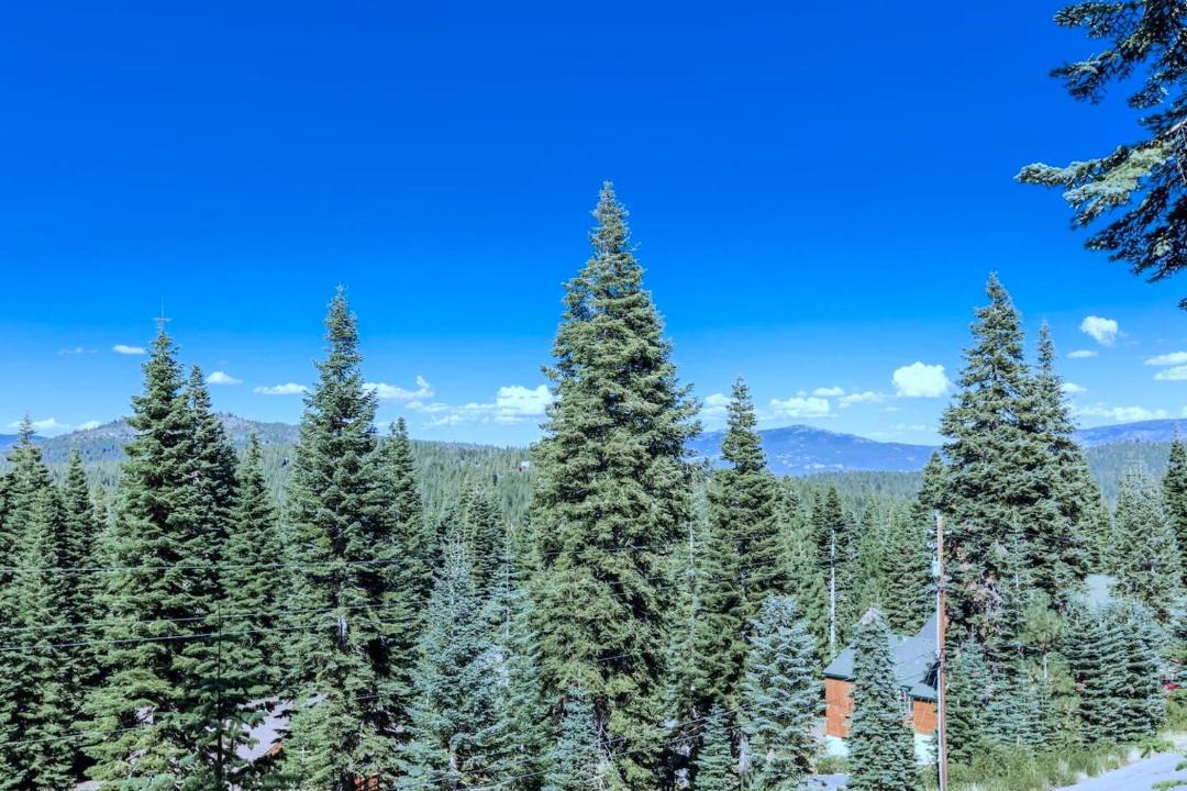 Photo of Others in Truckee