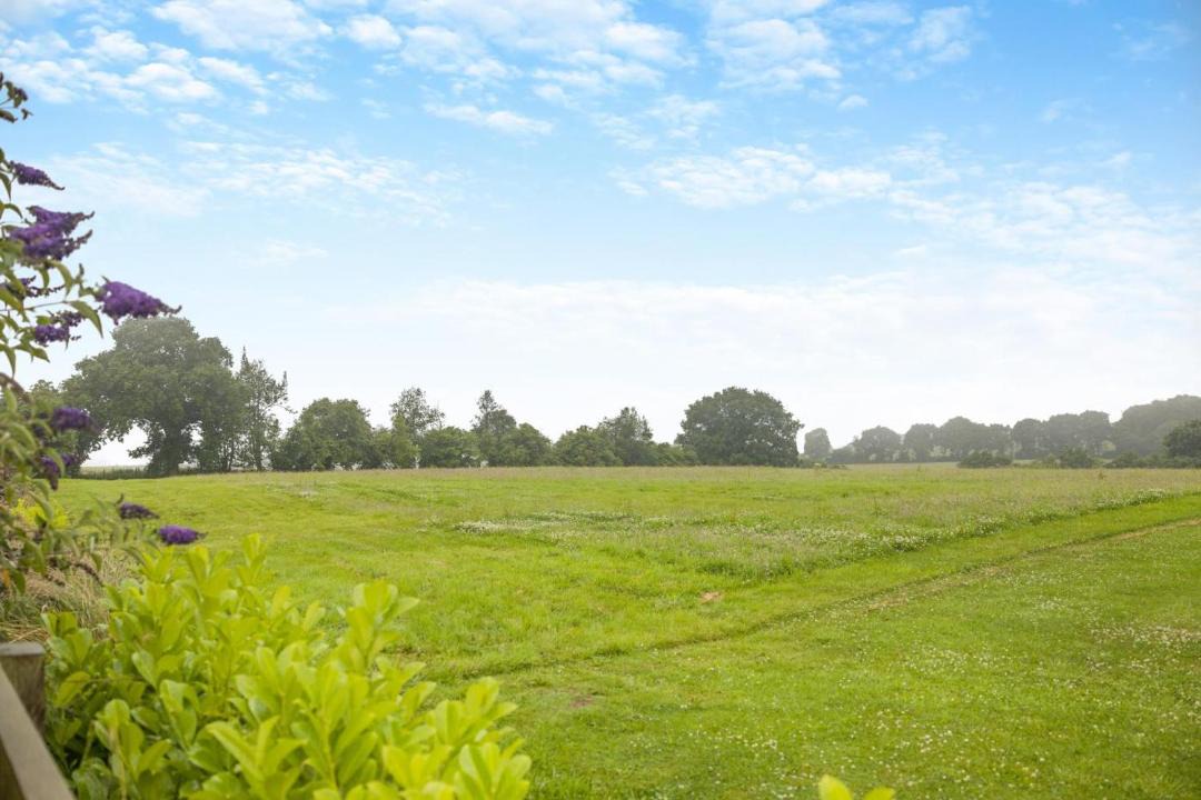 Photo of Others in Angelbank