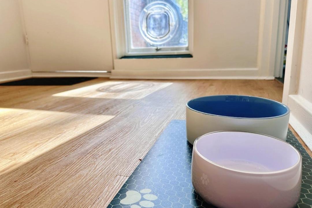 Photo of Others in Fullarton