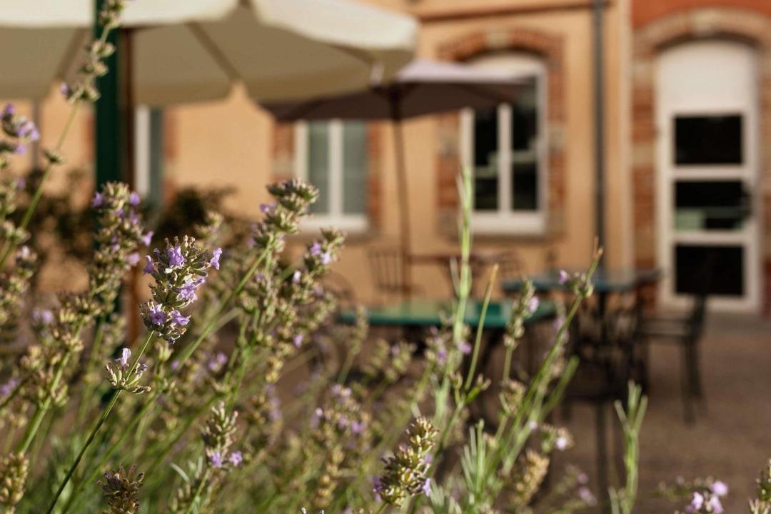 Photo of Others in Lavaur