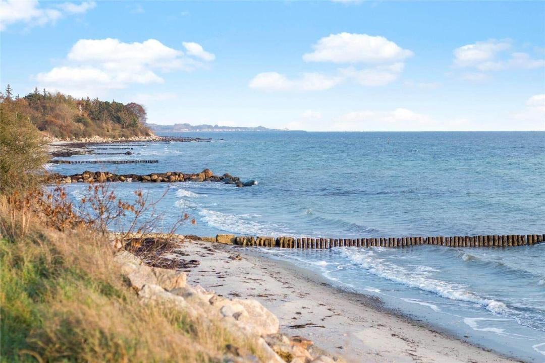 Photo of Others in Stege