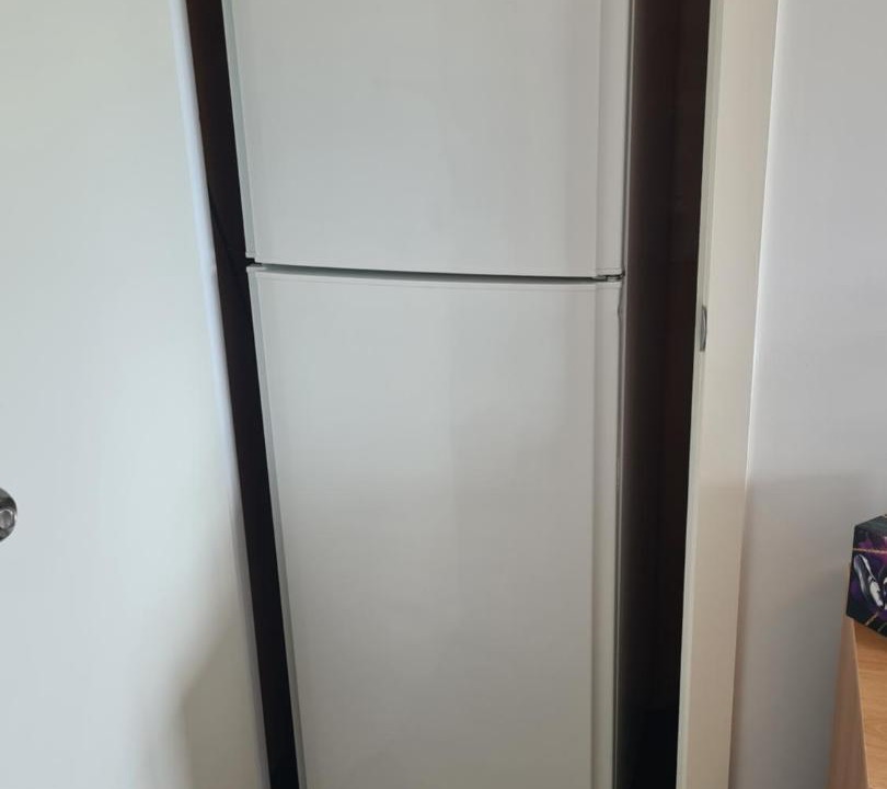 Photo of Others in Te Kopuru