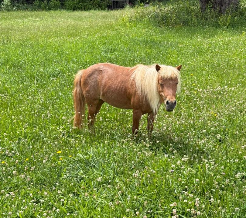 Photo of Others in The Dalles