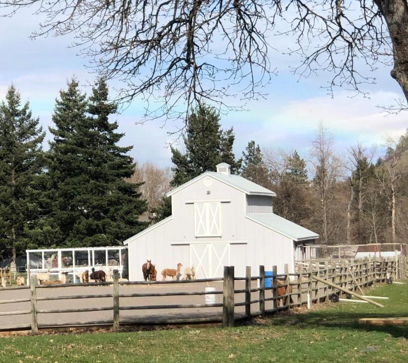 Photo of Others in The Dalles