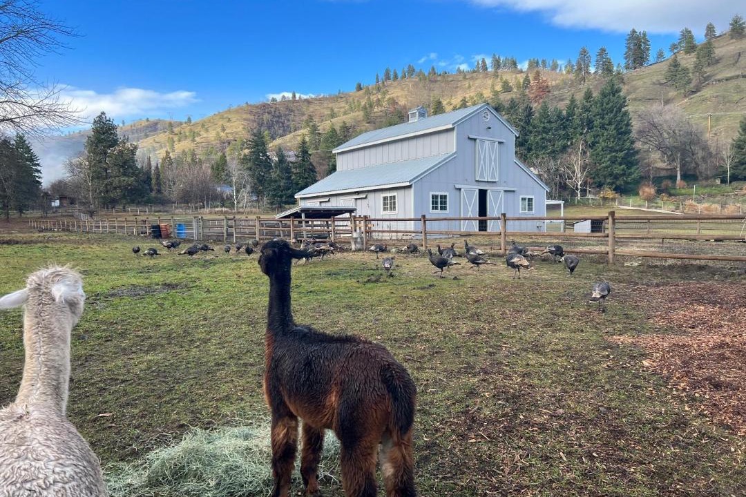 Photo of Others in The Dalles