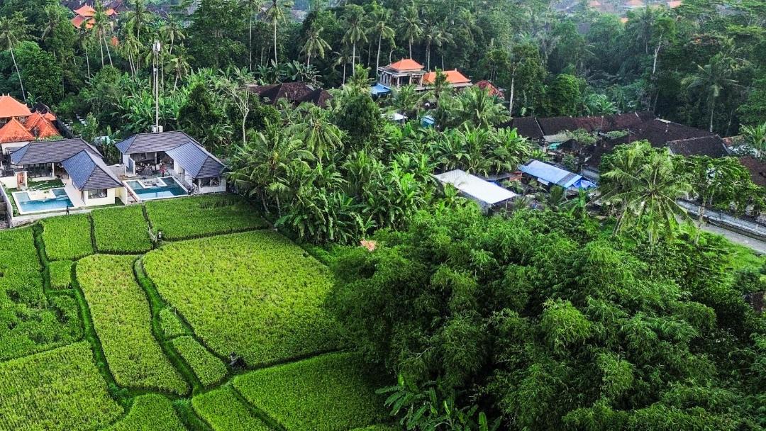 Photo of Others in Melayang