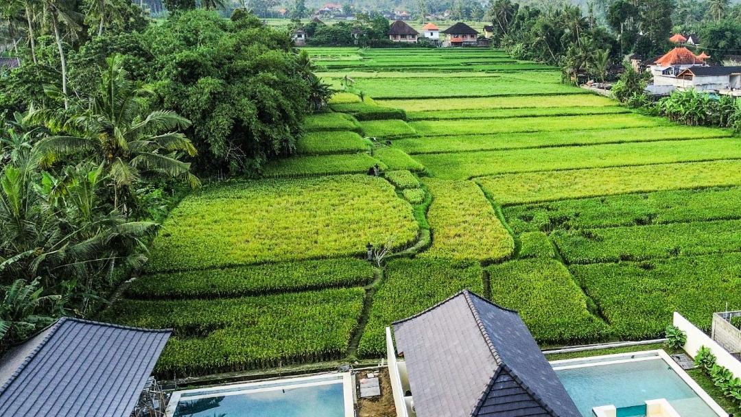Photo of Others in Melayang