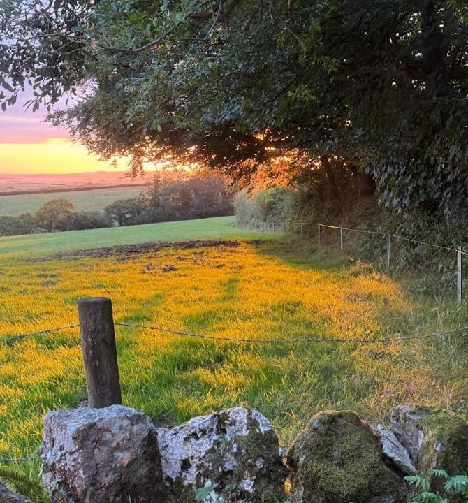 Photo of Others in Trewen