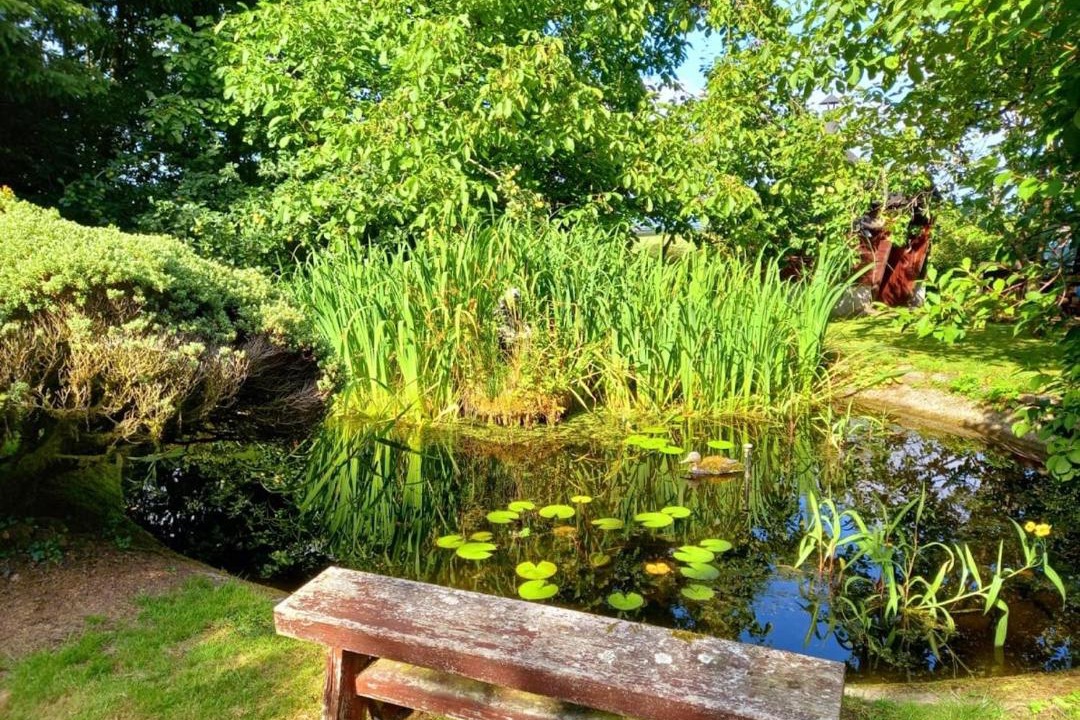 Photo of Others in Trewen