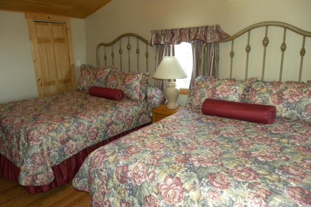 Photo of Others in Belfast