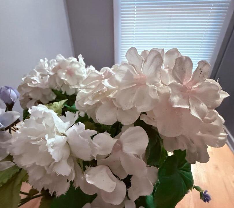 Photo of Others in The Hill