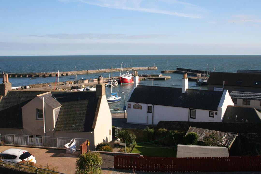 Photo of Others in Montrose