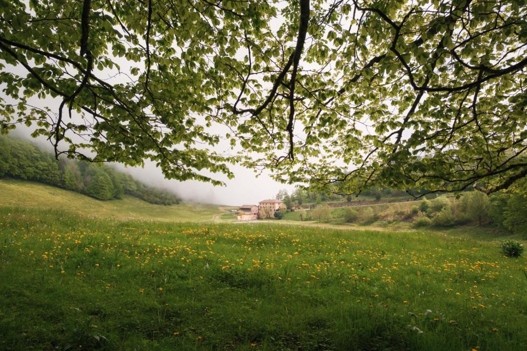 Photo of Others in Bouvante