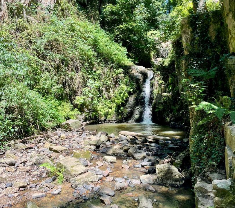 Photo of Others in Marcey-les-Greves