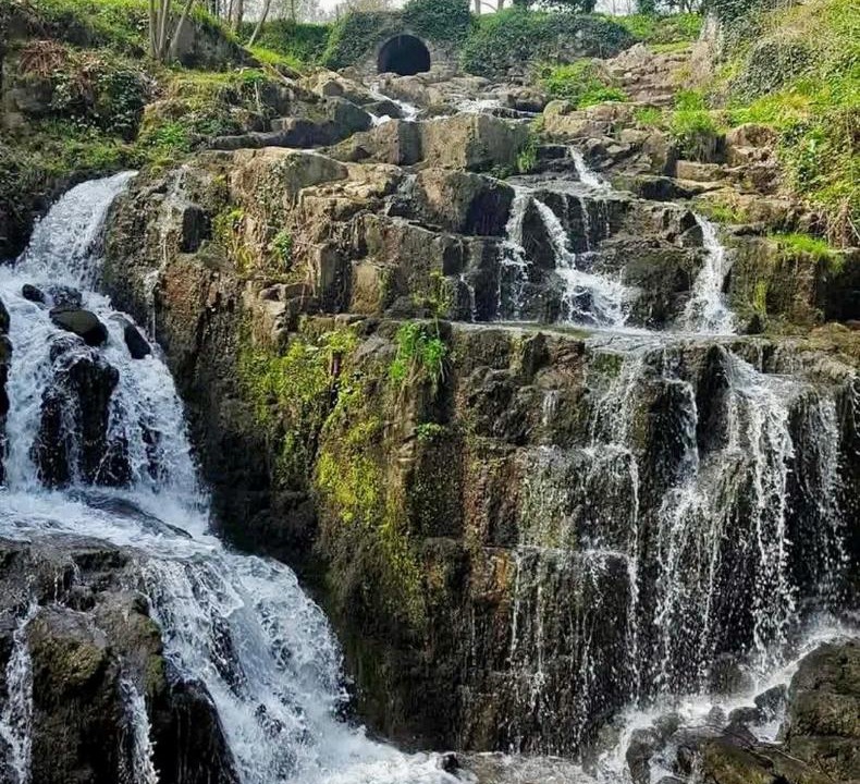 Photo of Others in Marcey-les-Greves