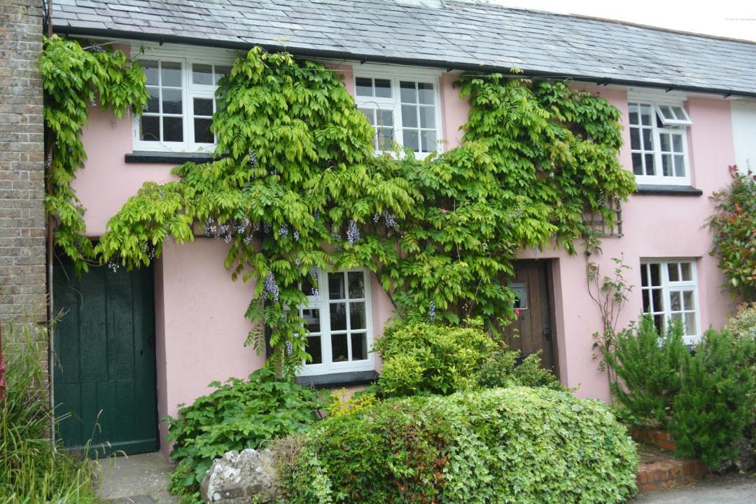Photo of Buildings in Sydling St Nicholas