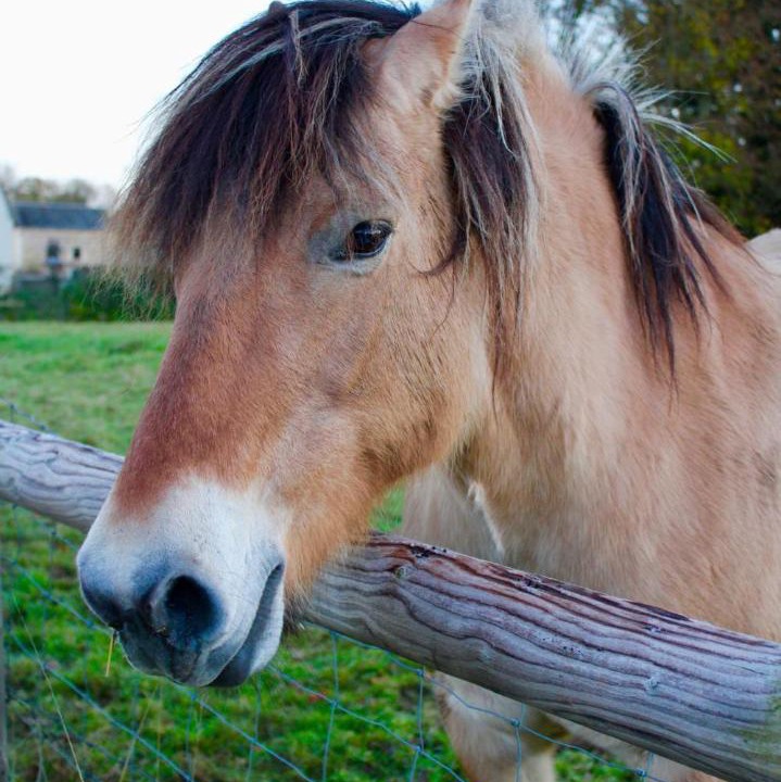 Photo of Others in Longrayez