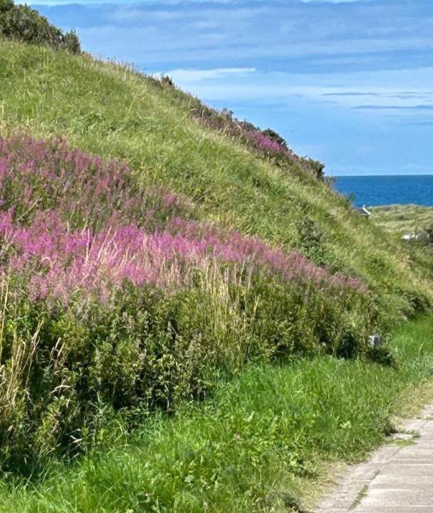 Photo of Others in Hirtshals
