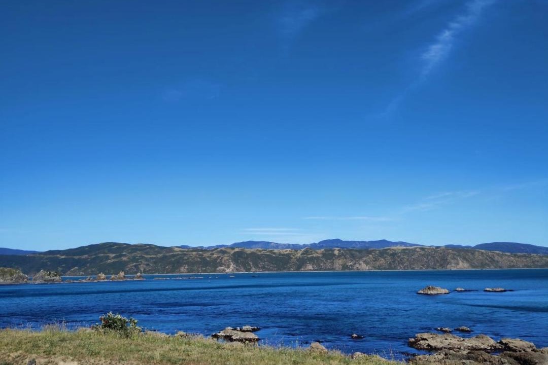 Photo of Others in Wellington