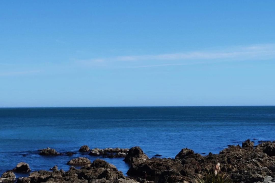 Photo of Others in Wellington