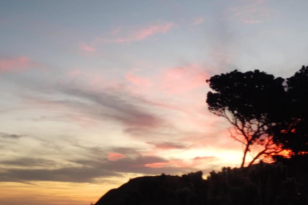 Photo of Others in Wellington