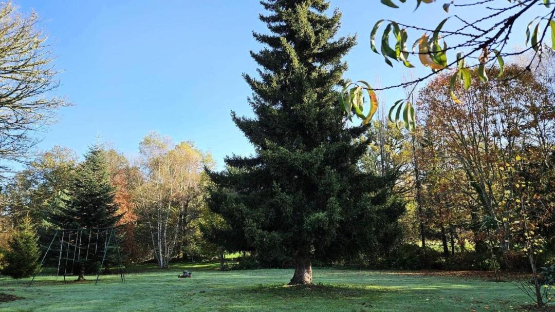Photo of Outdoor in Marcillac-la-Croisille