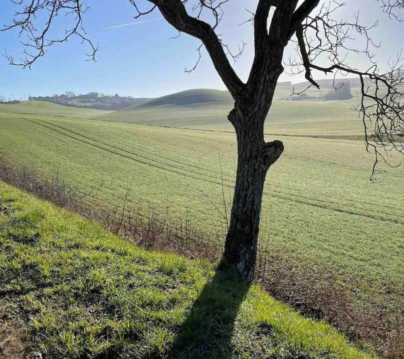 Photo of Others in Marsac