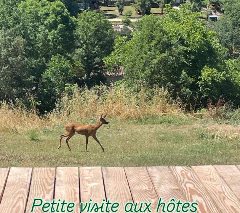 Photo of Others in Cahors