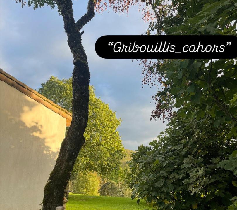 Photo of Others in Cahors