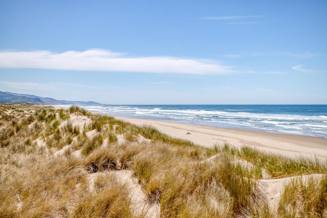 Photo of Others in Manzanita