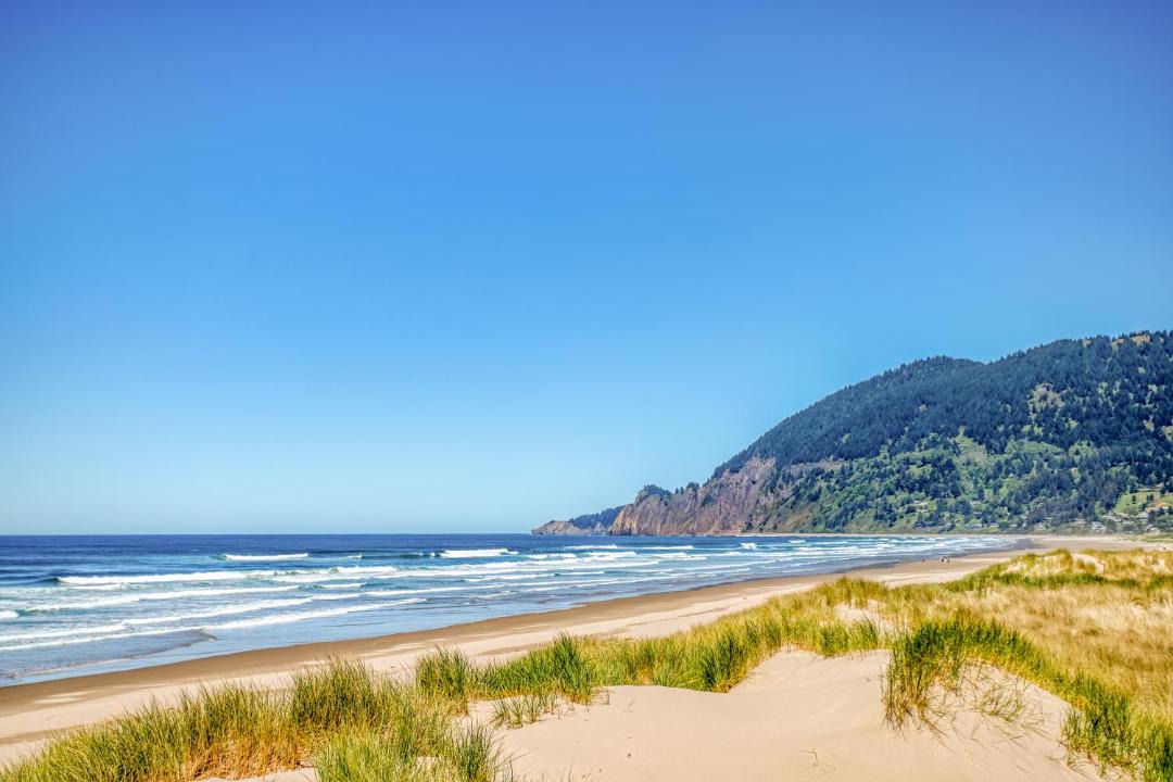 Photo of Others in Manzanita