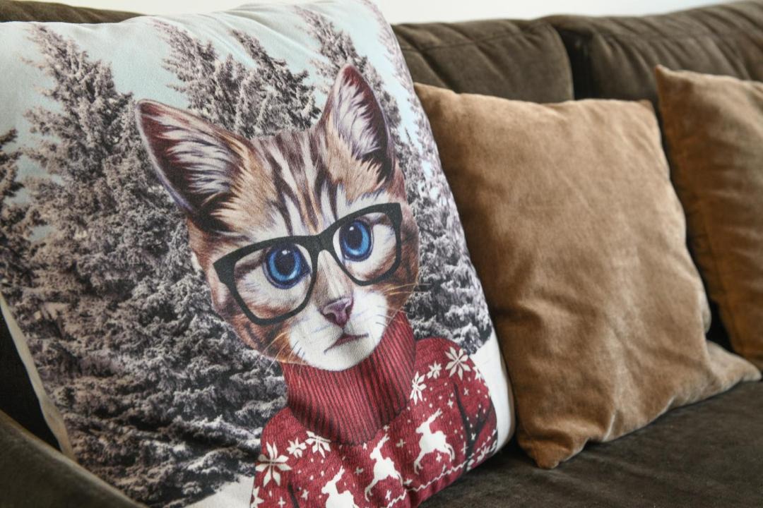 Photo of Others in Saint-Pierre-d'Albigny