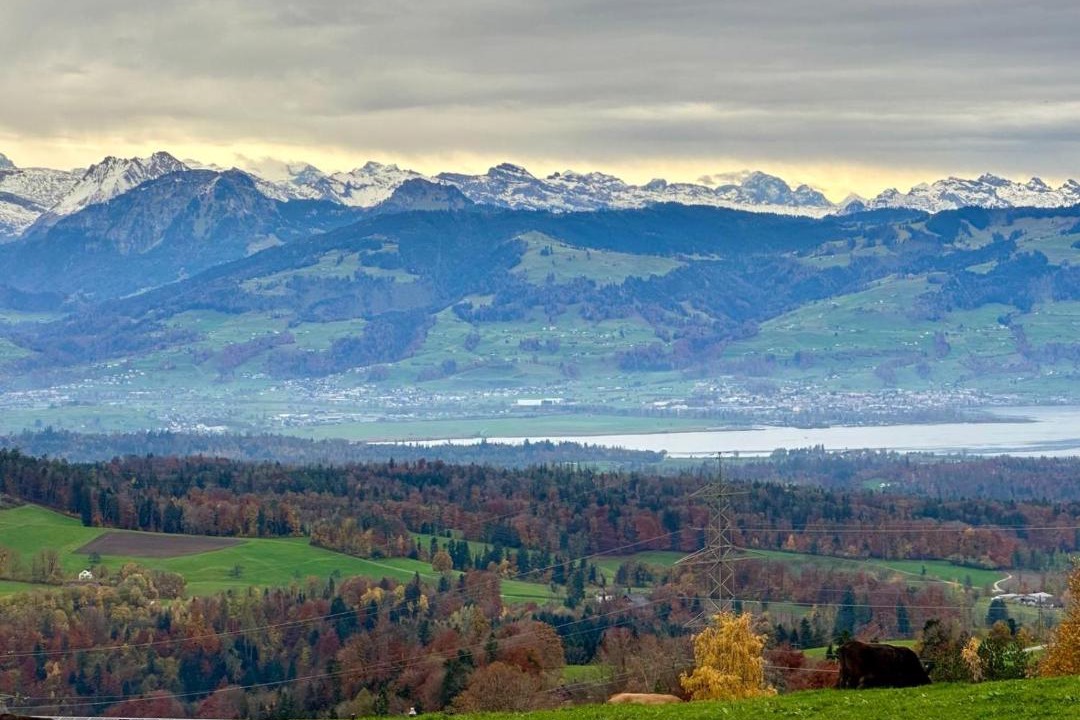 Photo of Others in Hinwil