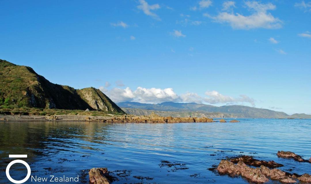 Photo of Others in Wellington