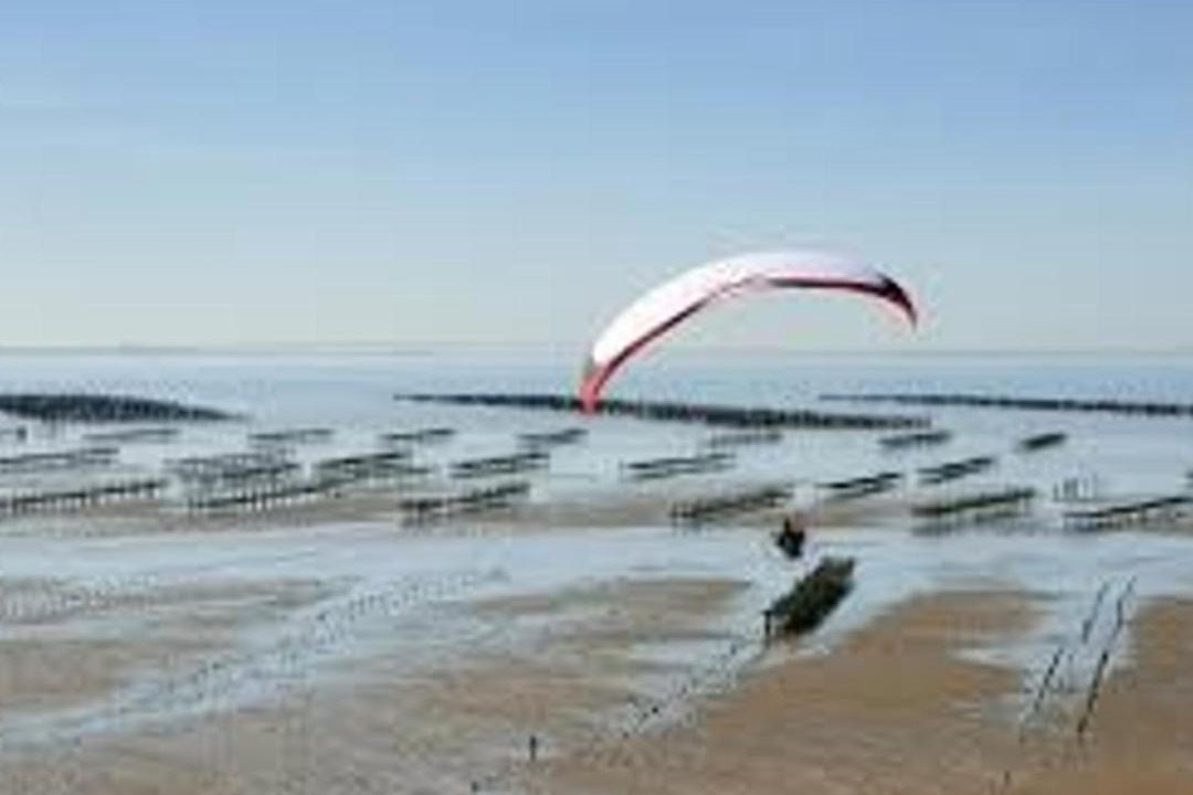 Photo of Others in LʼAiguillon-sur-Mer