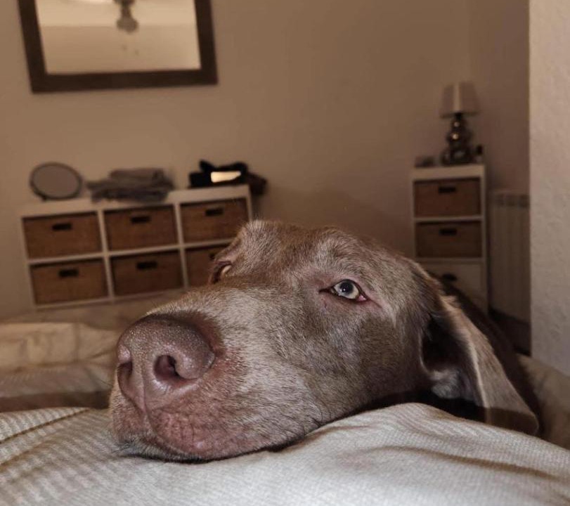 Photo of Others in Rothes